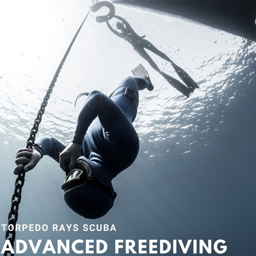 Advanced PADI Freediver